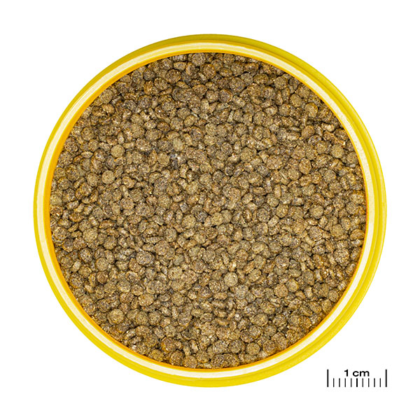 JBL PRONOVO GOURAMI GRANO S 250ml CLICK